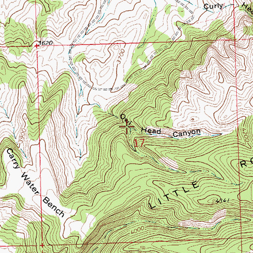 Topographic Map of Hays Census Designated Place, MT