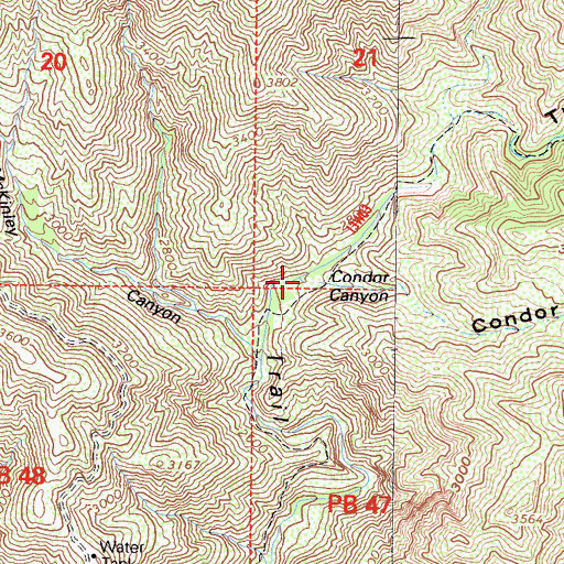 Topographic Map of Condor Canyon, CA