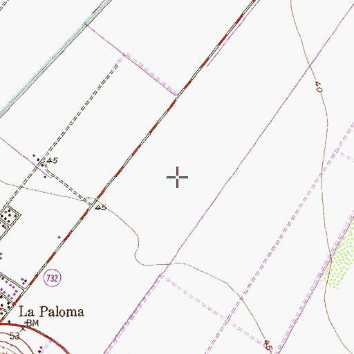 Topographic Map of La Paloma Census Designated Place, TX
