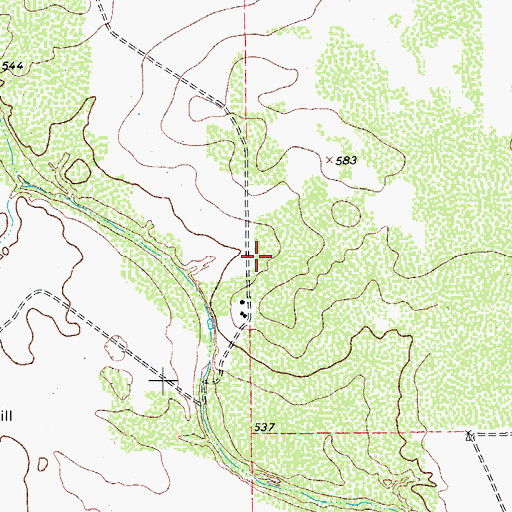 Topographic Map of Las Lomitas Census Designated Place, TX