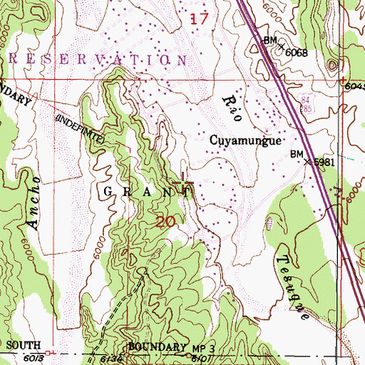 Topographic Map of Cuyamungue Census Designated Place, NM