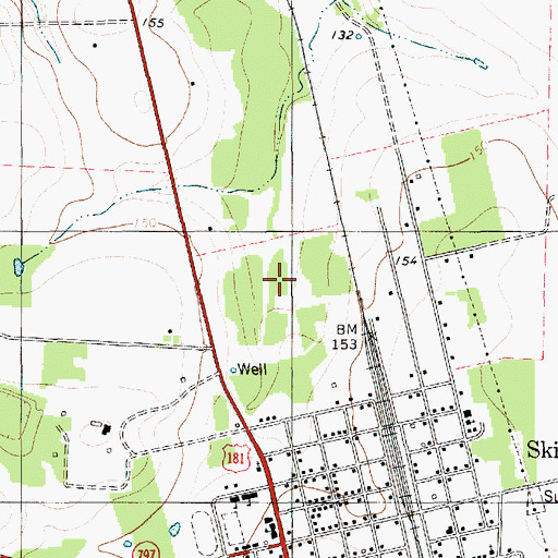 Topographic Map of Skidmore Census Designated Place, TX