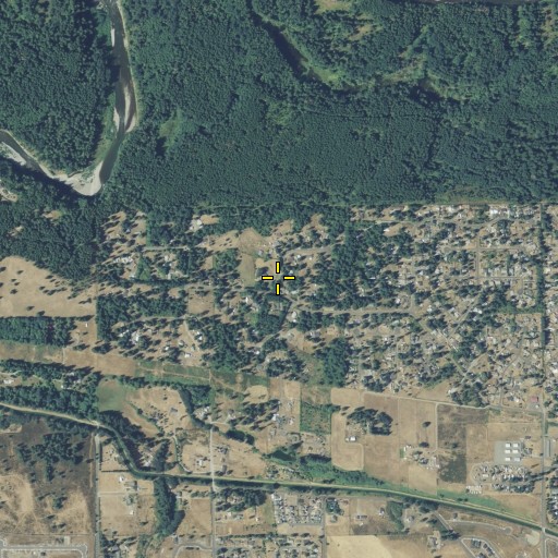 Aerial/Satellite Image of North Yelm Census Designated Place, WA