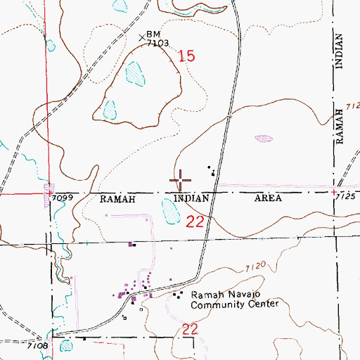 Topographic Map of Pinehill Census Designated Place, NM