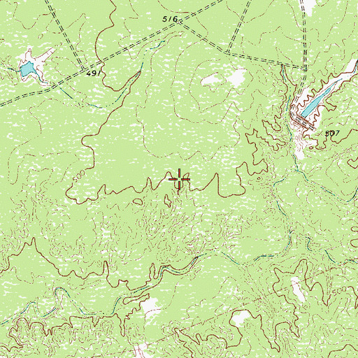 Topographic Map of Ranchos Penitas West Census Designated Place, TX