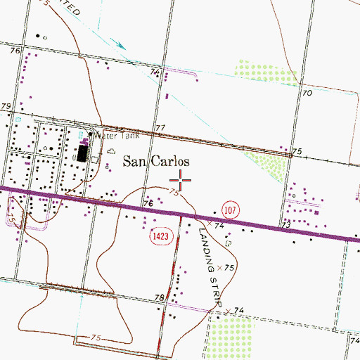 Topographic Map of San Carlos Census Designated Place, TX