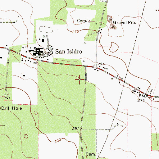 Topographic Map of San Isidro Census Designated Place, TX