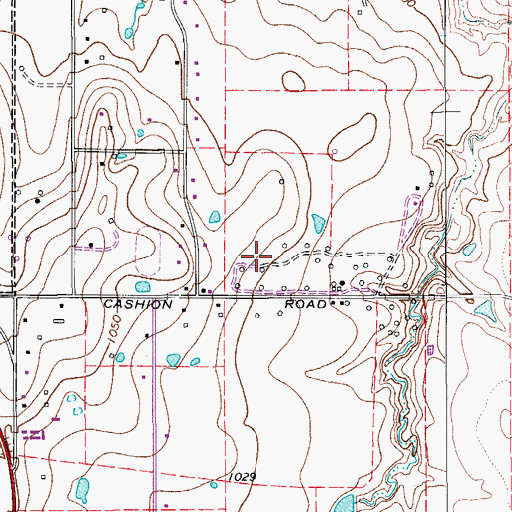 Topographic Map of City of Cashion Community, TX