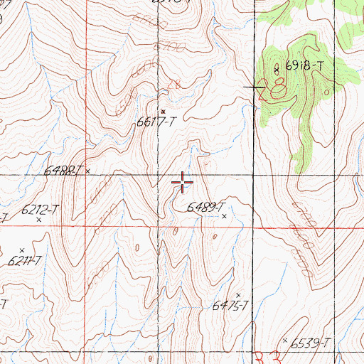 Topographic Map of Coso Range, CA