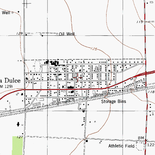 Topographic Map of City of Agua Dulce, TX