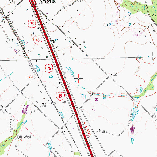 Topographic Map of City of Angus, TX