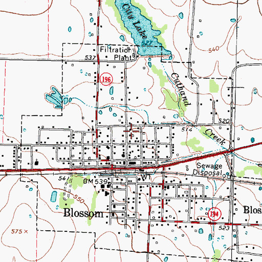 Topographic Map of City of Blossom, TX