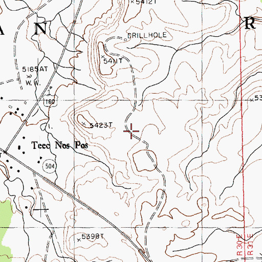 Topographic Map of Teec Nos Pos Census Designated Place, AZ