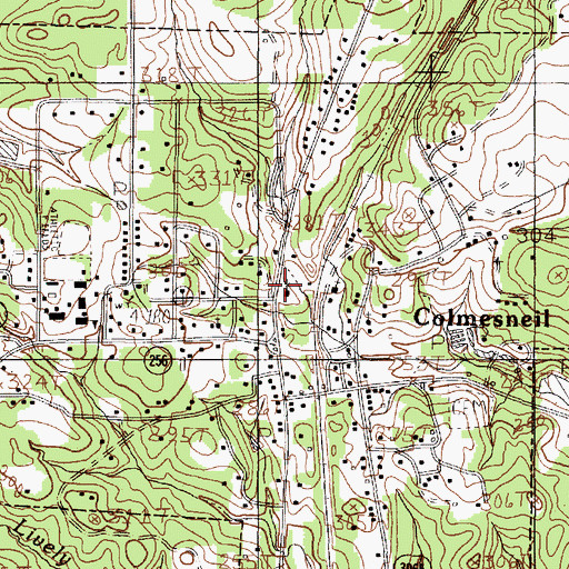 Topographic Map of City of Colmesneil, TX