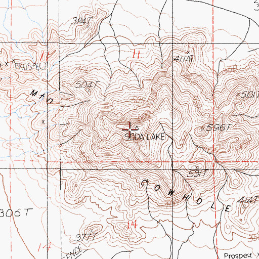 Topographic Map of Cowhole Mountain, CA