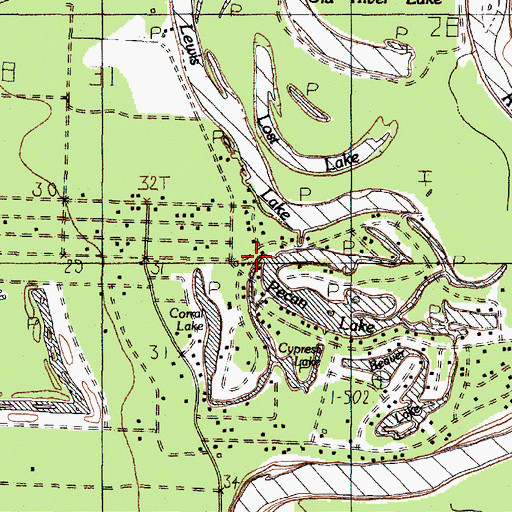 Topographic Map of City of Dayton Lakes, TX