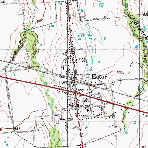 Topographic Map of City of Ector, TX