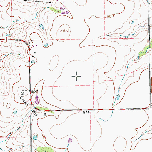 Topographic Map of City of Gunter, TX