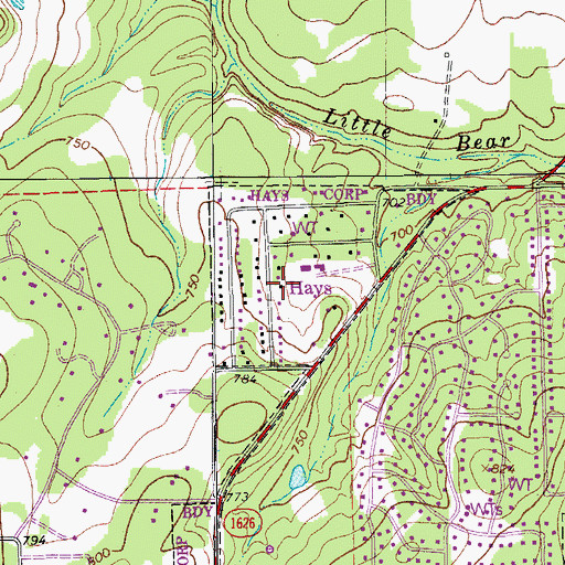 Topographic Map of City of Hays, TX