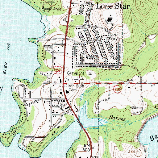 Topographic Map of City of Lone Star, TX