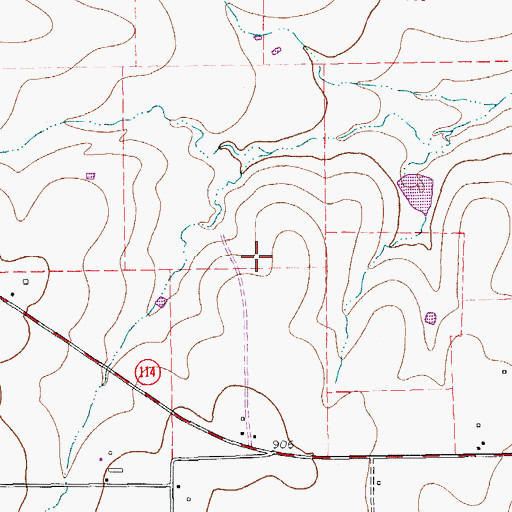 Topographic Map of City of Rhome, TX