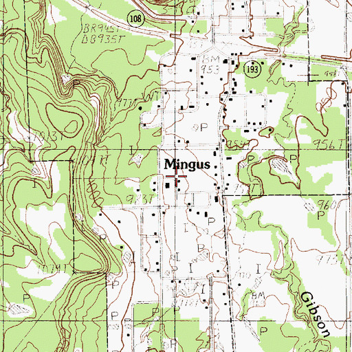 Topographic Map of City of Mingus, TX