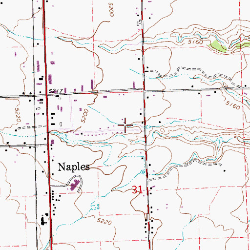 Topographic Map of City of Naples, UT
