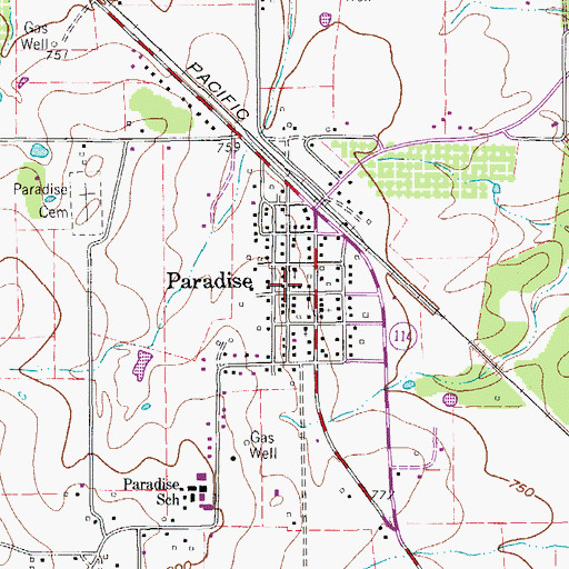 Topographic Map of City of Paradise, TX