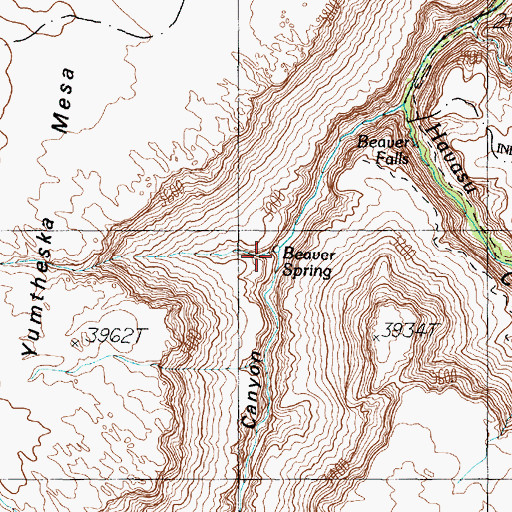 Topographic Map of Beaver Spring, AZ