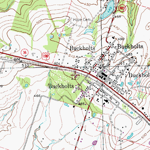 Topographic Map of Town of Buckholts, TX