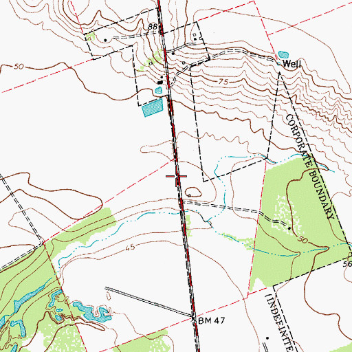 Topographic Map of City of San Patricio, TX