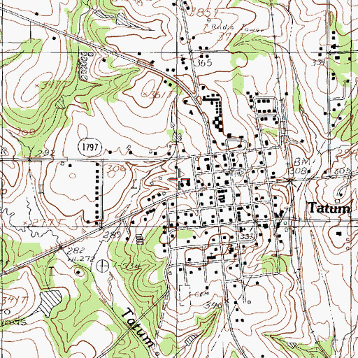 Topographic Map of City of Tatum, TX