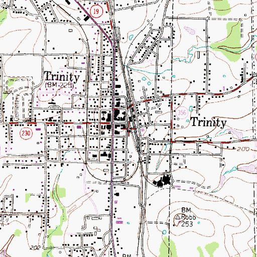 Topographic Map of City of Trinity, TX