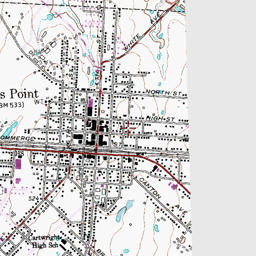 Topographic Map of City of Wills Point, TX