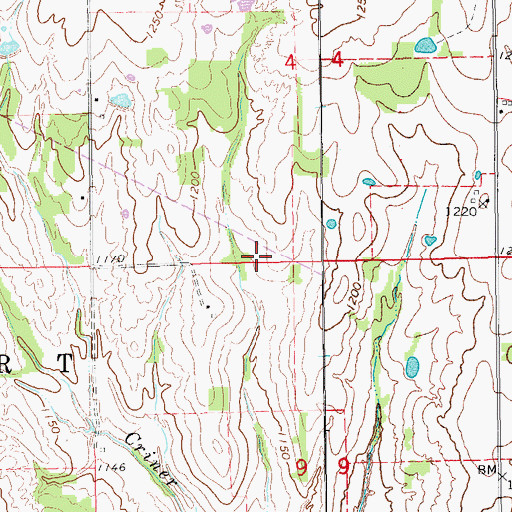 Topographic Map of Town of Dibble, OK