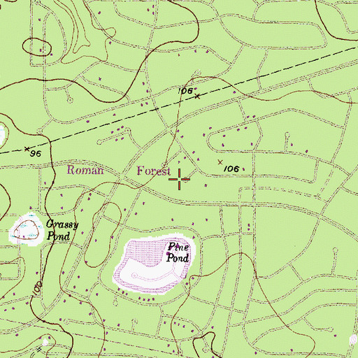 Topographic Map of Town of Roman Forest, TX