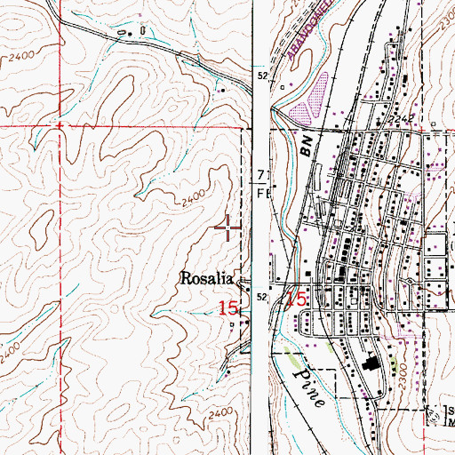 Topographic Map of Town of Rosalia, WA