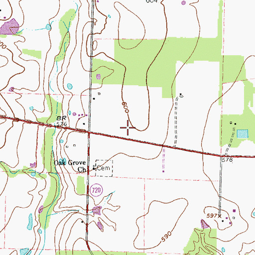 Topographic Map of Town of Lincoln Park (historical), TX