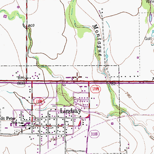 Topographic Map of City of Lindsay, TX