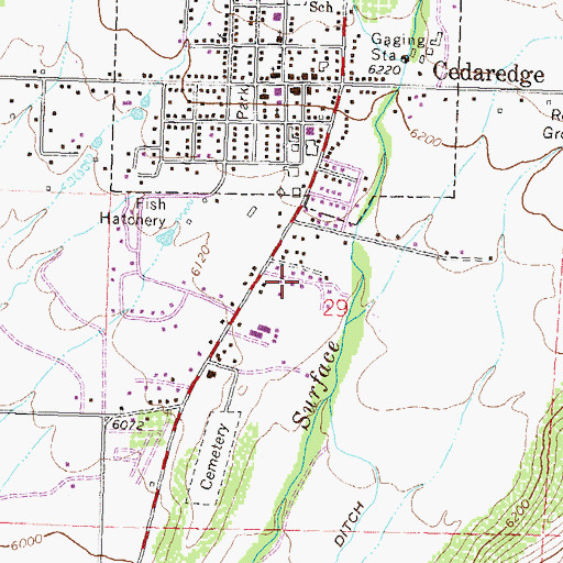 Topographic Map of Town of Cedaredge, CO