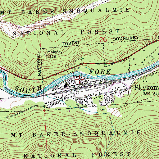 Topographic Map of Town of Skykomish, WA