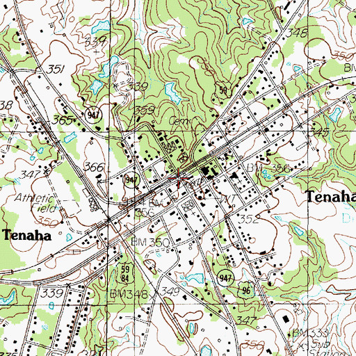 Topographic Map of Town of Tenaha, TX