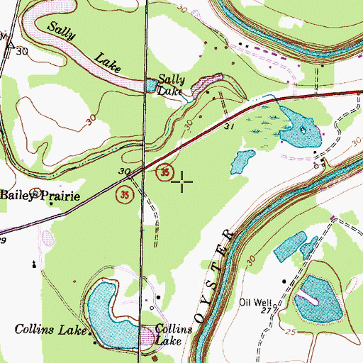 Topographic Map of Village of Bailey's Prairie, TX