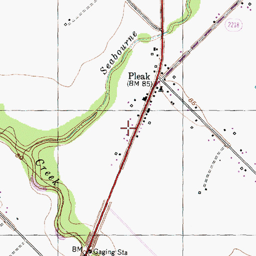 Topographic Map of Village of Pleak, TX