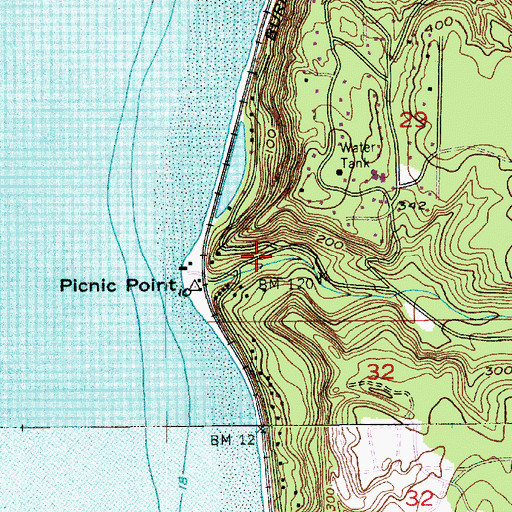 Topographic Map of Picnic Point, WA