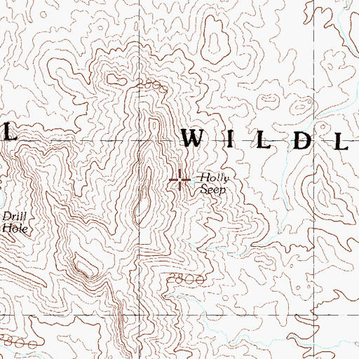Topographic Map of Holly Seep, AZ