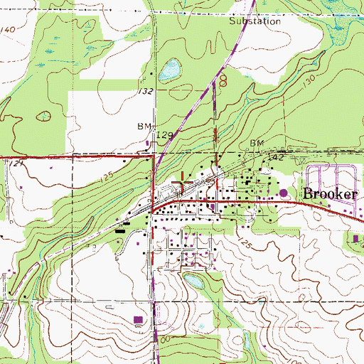 Topographic Map of Brooker Water Tower, FL