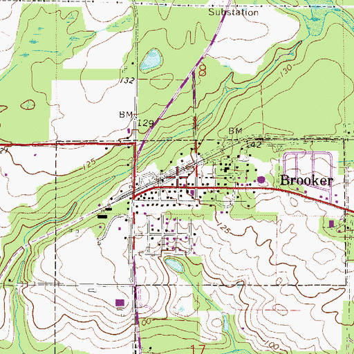 Topographic Map of Brooker Volunteer Fire Department Station 8, FL