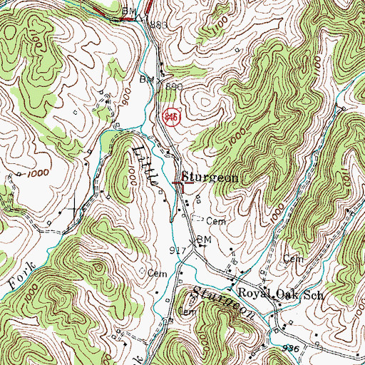 Topographic Map of Sturgeon Post Office (historical), KY