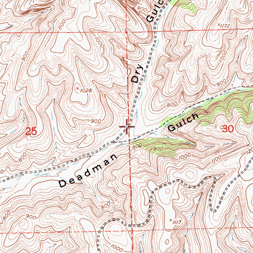 Topographic Map of Dry Gulch, CA